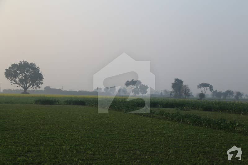 Sasti Tareen Agriculture Land For Sale Near B Arki Road