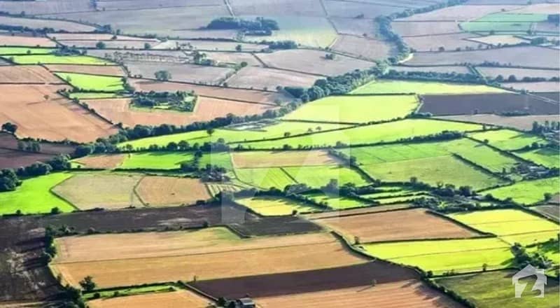 چک بیلی خان راولپنڈی میں 4.44 کنال زرعی زمین 42 لاکھ میں برائے فروخت۔