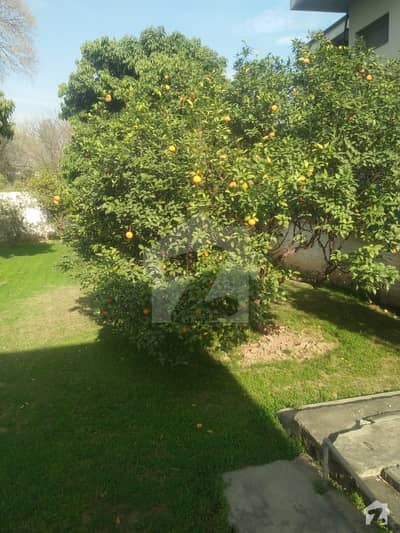 جی ۔ 6 اسلام آباد میں 4 کمروں کا 2.4 کنال مکان 2.5 لاکھ میں کرایہ پر دستیاب ہے۔ جی ۔ 6 اسلام آباد میں 4 کمروں کا 2.4 کنال مکان 2.5 لاکھ میں کرایہ پر دستیاب ہے۔