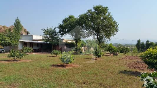 Farm With Fruit Trees Fully Developed