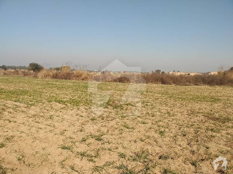 Land For Sell On Qazi Road 430 Kanal