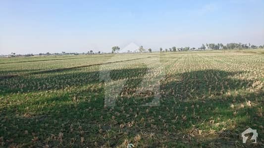 212 Acre land   For Sale Near Phulji Station Dadu Agriculture Land