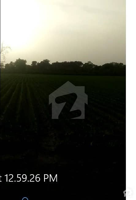 6.5 Acar (52 Kanal)  With 520 Front - Agricultural Land - Best Location