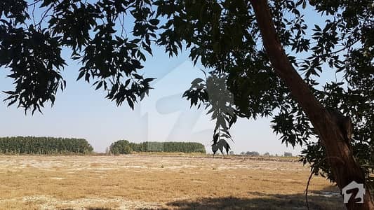 Farm House Plot Only In Rs 2000 Per Square Yards In Main Haliji Lake Road