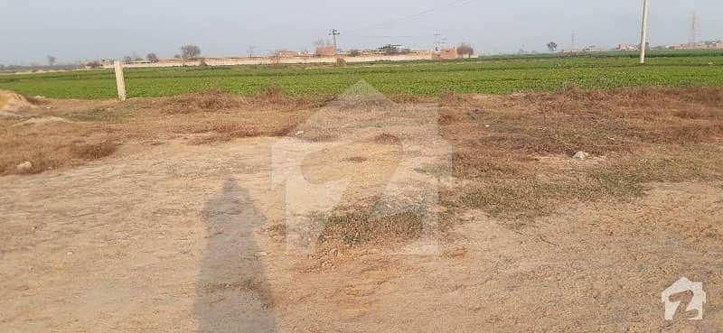 Affordable Agricultural Land For Sale In Feroze Wattwan