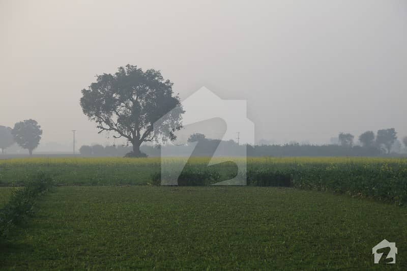 برکی روڈ کینٹ لاہور میں 1 کنال زرعی زمین 10 لاکھ میں برائے فروخت۔