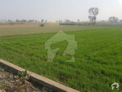 1.5 Acre Of Commercial Land Right Next To Ramzan Sugar Mill