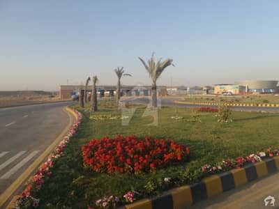 500 Square Yard Sector 10 D Plot For Sale 500 Square Yard Sector 10 D Plot For Sale
