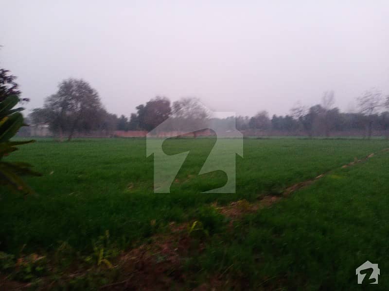 Investment Opportunity Very Lowest Price Cheapest Fertile Agriculture Land 43 Acres With Farmhouse