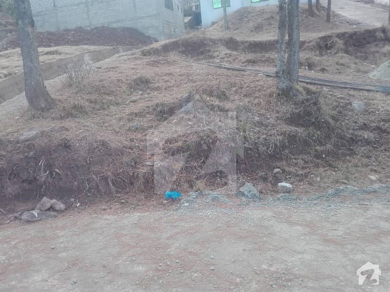 4 Marla Plot For Sale In New Murre  Good Environment
