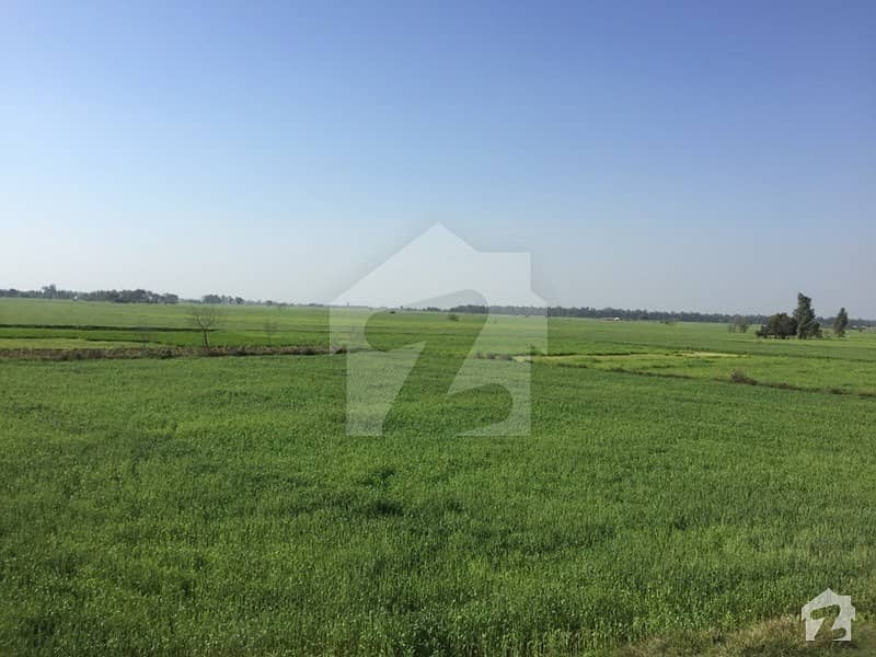 7 Acer Agriculture Land For Sale