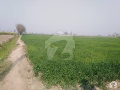 87 Kanal Plot For Sale 2 Km From Adda Larr In Reasonable Price