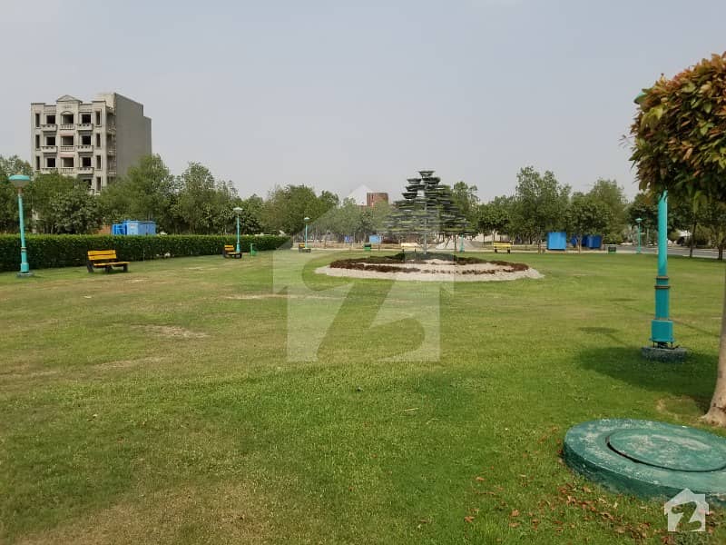 1 Kanal Possession And Utilities Paid Residential Plot 50 Excellent Developed Plot At Builder Location For Sale In Rafi Block