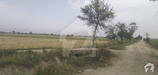 Near Kamahan Interchange Ring Road 5 Kanal Farm House Land Electric Gas Sewerage Carpet Road Urgently For Sale