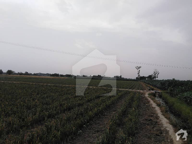 Rs. 30 Lacs Per Acre In Jamalpur