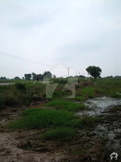 Good 1350  Square Feet Commercial Plot For Sale In Alia Town