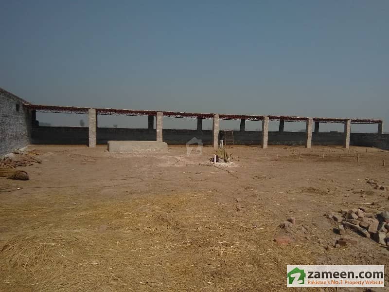 Dairy Cattle Farm For Rent Including 6. 25 Acre Land For Fodder Kala
