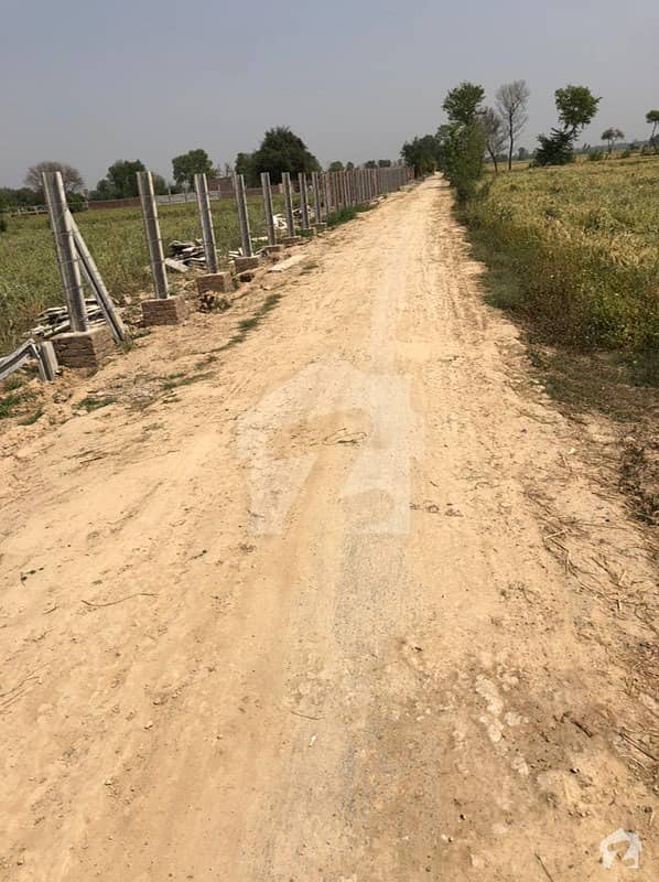 بیدیاں روڈ لاہور میں 80 کنال زرعی زمین 12.25 کروڑ میں برائے فروخت۔