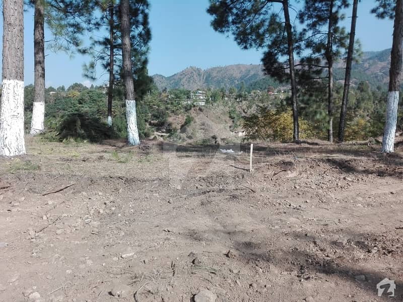 A Good Option For Sale Is The Residential Plot Available In Qalandarabad In Abbottabad