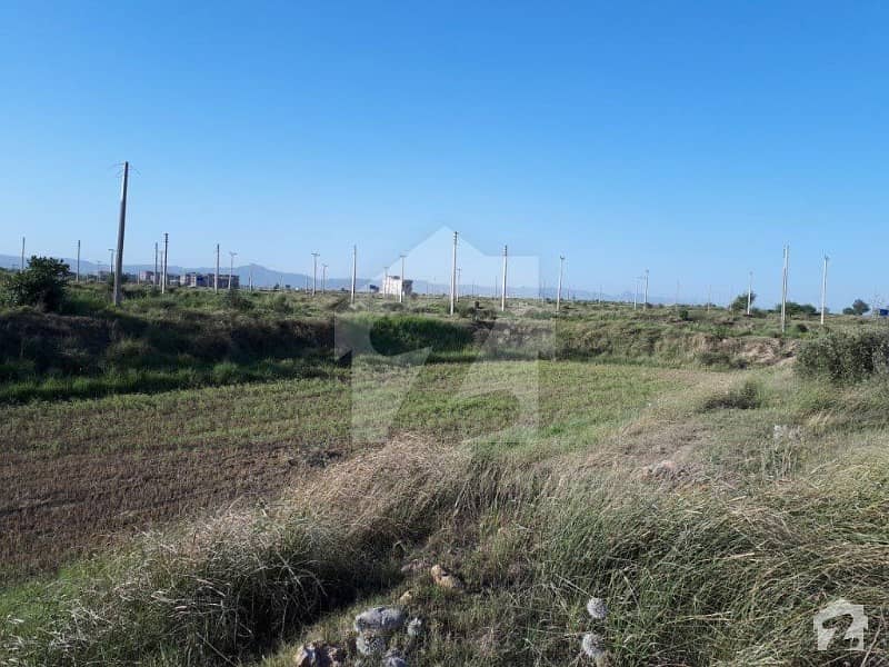 5 Marla Plot For Sale At A Reasonable Price