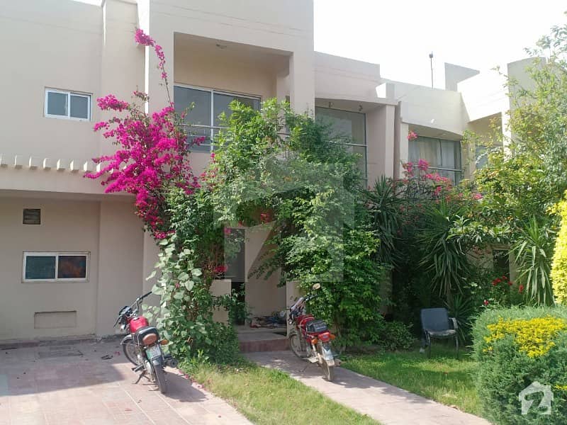5 Marla Double Storey House For Rent Safari Home Sector F Bahria Town Phase 8