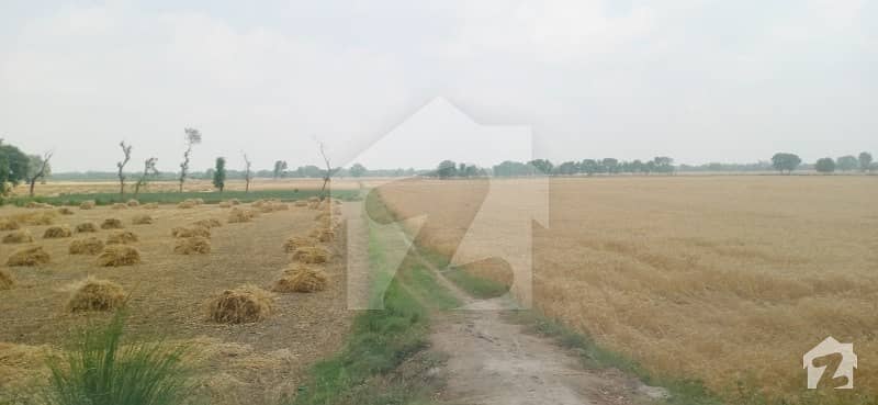 Investment Opportunity Hot Location Facing Brb Ideal For Farm House Main Bedian  Road  Direct Approach Nearest Village Wiggle Moza Kasur