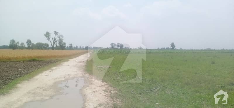 Investment Opportunity   Hot location Ideal for farm house  Main bedian  Road  deredc approach nearest village wiggle MOZA kasur