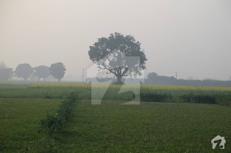 Your Dream 4500  Square Feet Agricultural Land Is Available In Cantt