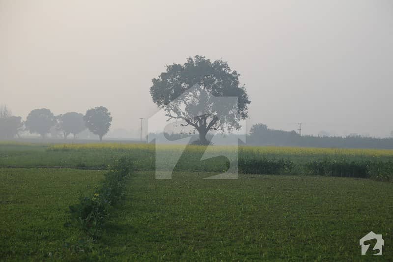 Ideal 4500  Square Feet Agricultural Land Has Landed On Market In Cantt, Lahore