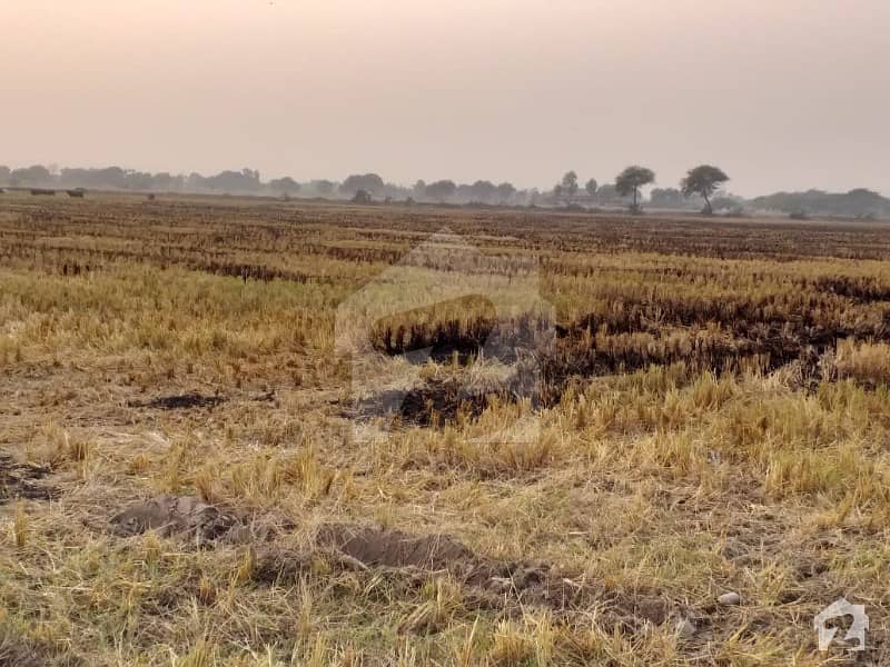 Ideal 5 Marba Fully Agriculture Land For Sale Near Gojra Motor Way Interchange