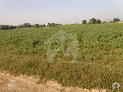6750001  Square Feet Agricultural Land For Sale In Hujra Shah Muqeem