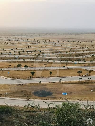 Precinct 32 250 Yards Plot Is Available For Sale Precinct 32 250 Yards Plot Is Available For Sale