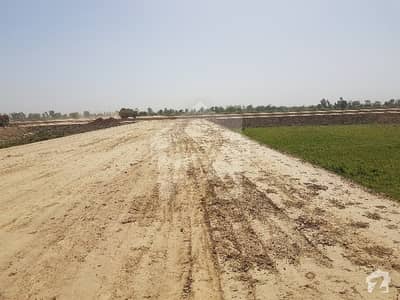 This Is Your Chance To Buy Plot File In New Chauburji Park