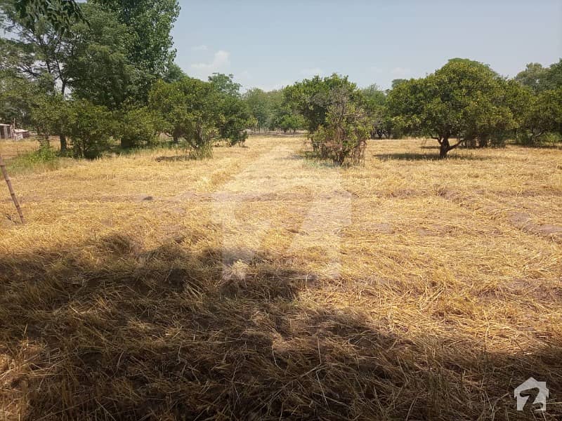 Agricultural Land Available For Sale