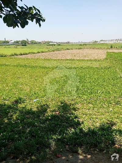 30 kanal Commercial Plot Available For Sale