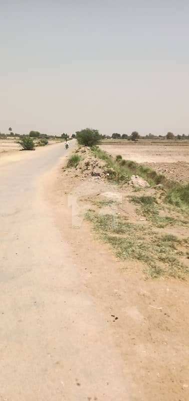 Agricultural Land For Sale  120 Acer Gupcani Jaam Sahib Road