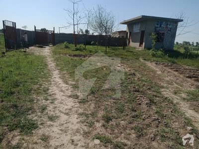 بھوگیوال روڈ لاہور میں 2.6 کنال زرعی زمین 1.1 کروڑ میں برائے فروخت۔