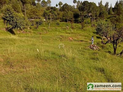 Plot File Available For Sale Plot File Available For Sale