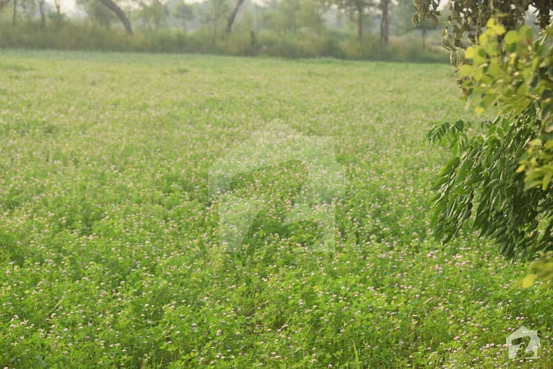 89 Kanal Agricultural Land In Lahore Sargodha Road Is Available