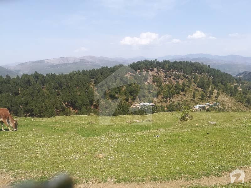 Beautiful Property For Sale In Pirsuhawa