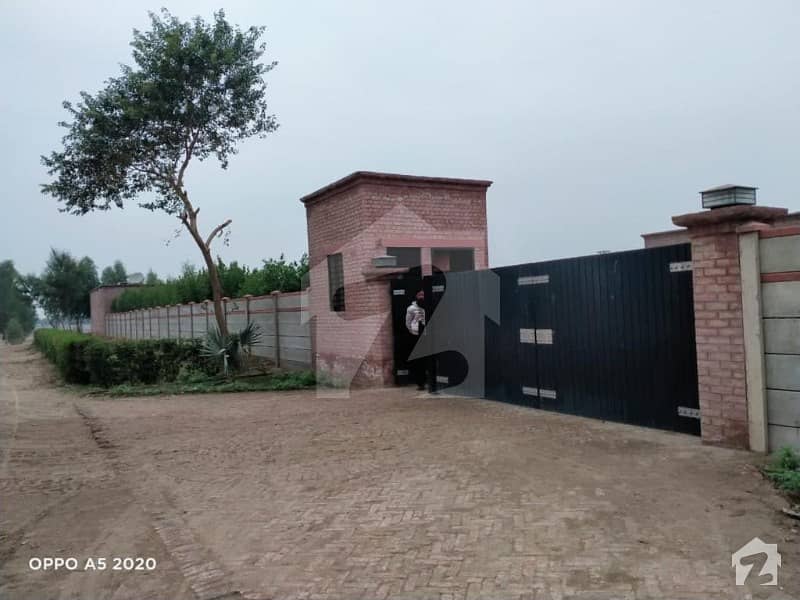 Al Burooj Poultry Farms Al Burooj Poultry Farms