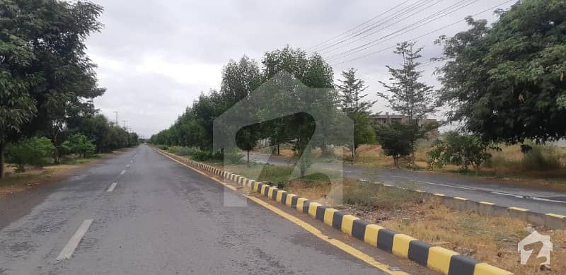 The Plot Of 5 Marla Is Available For Sale In Regi Model Town Peshawar