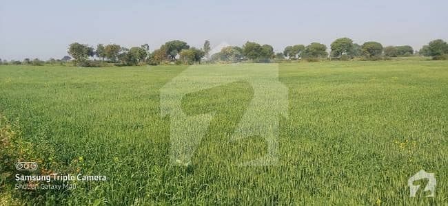 Agriculture Land For Sale 155 Acer