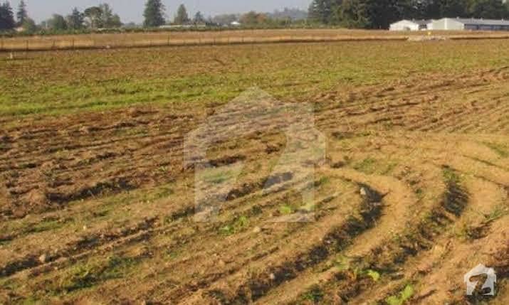 ساہیوال روڈ پاکپتن میں 7 مرلہ زرعی زمین 38 کروڑ میں برائے فروخت۔