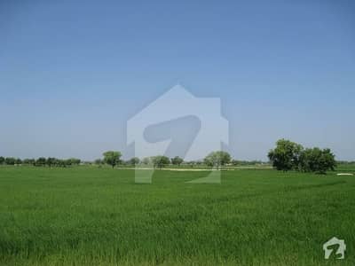 Agriculture Land For Sale In Pakpattan