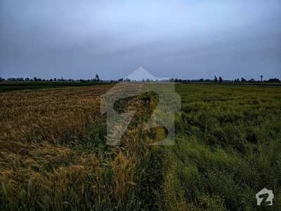 Agriculture Land For Sale 75 Acer