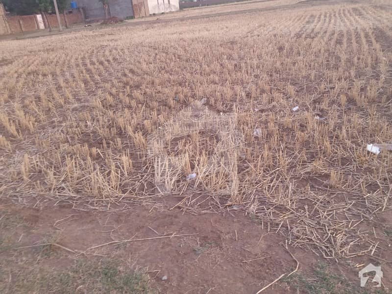 Land For Sale Village Borgi Karam Chand