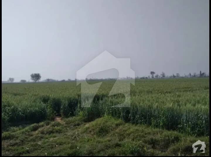 Agricultural Land For Sale Urgently, 15 Acrs In Chak 373 Jb Tehsil Gojra District Toba Take Singh. ( according to schedule 1900000 per acre)
