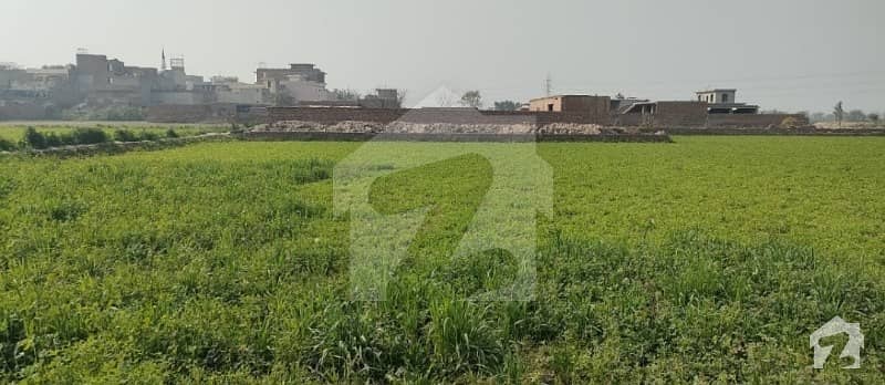Ready To Buy A Residential Plot In Shahpur Kanjra Lahore