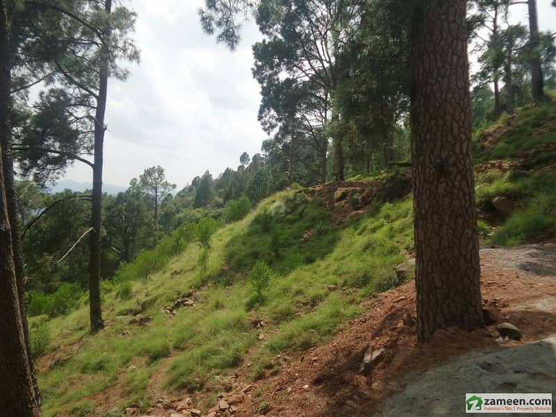 Agriculture Land For Sale Agriculture Land For Sale